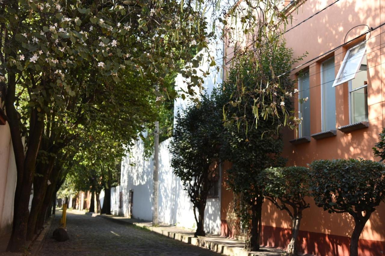 Casa Lulu Coyoacan Alvaro Obregon Bagian luar foto