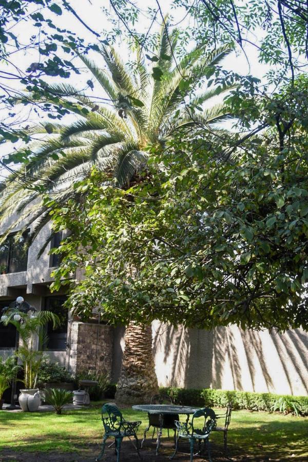 Casa Lulu Coyoacan Alvaro Obregon Bagian luar foto
